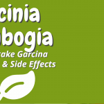 How to Take Garcinia Cambogia | Benefits and Side Effects of Garcinia Cambogia
