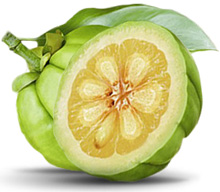 How to take garcinia cambogia | garcinia cambogia benefits and side effects